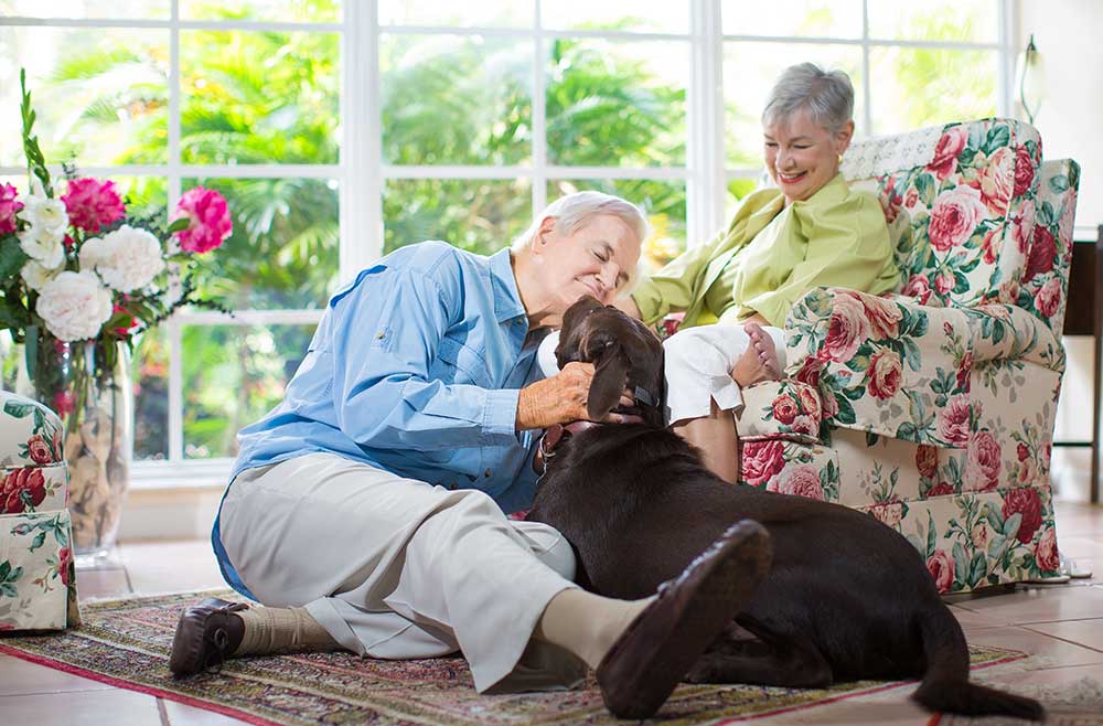 Senior couple petting their dog